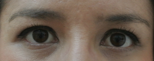 lashperfect hibrow treatment