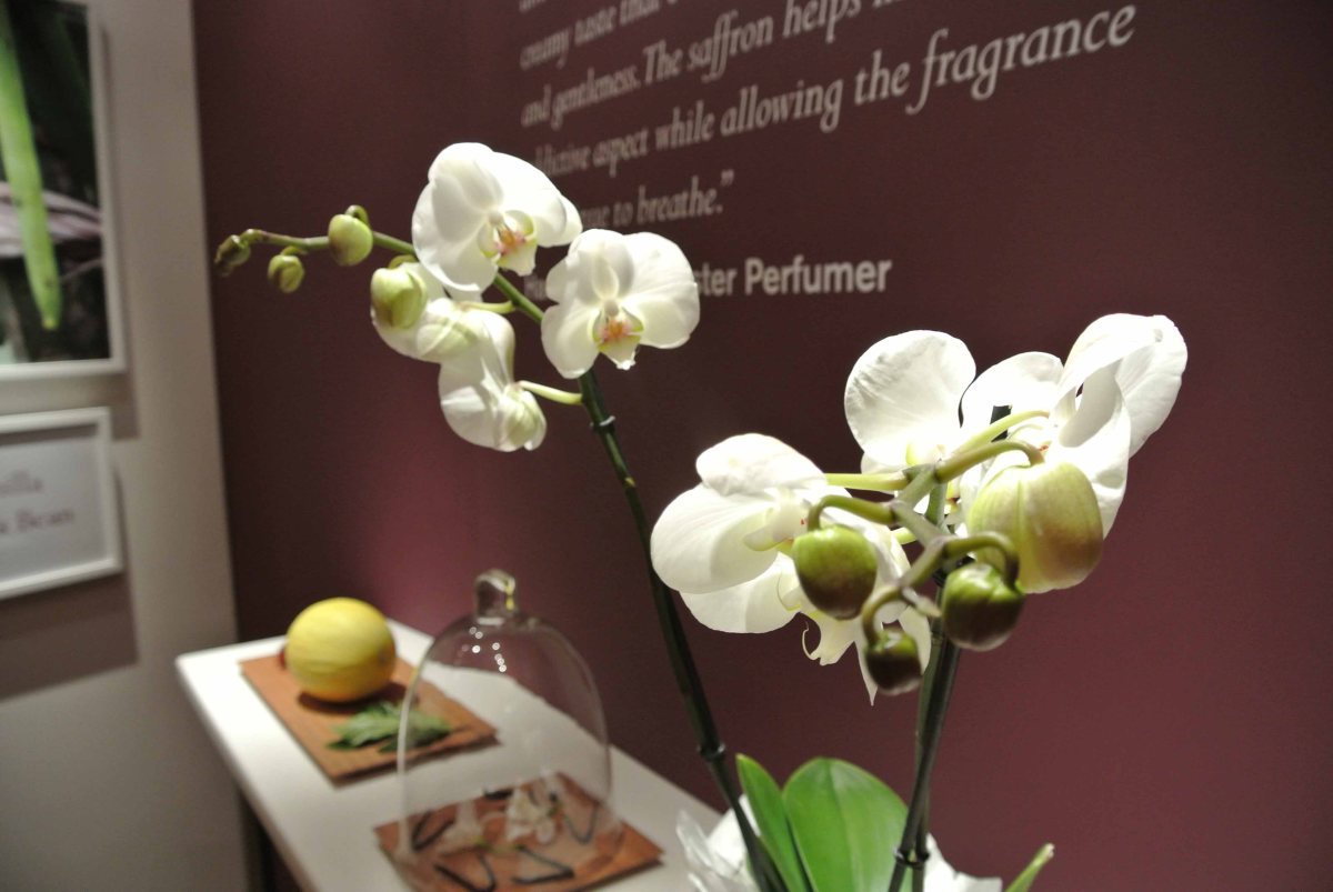 Liz Earle Bath & Body collection lau