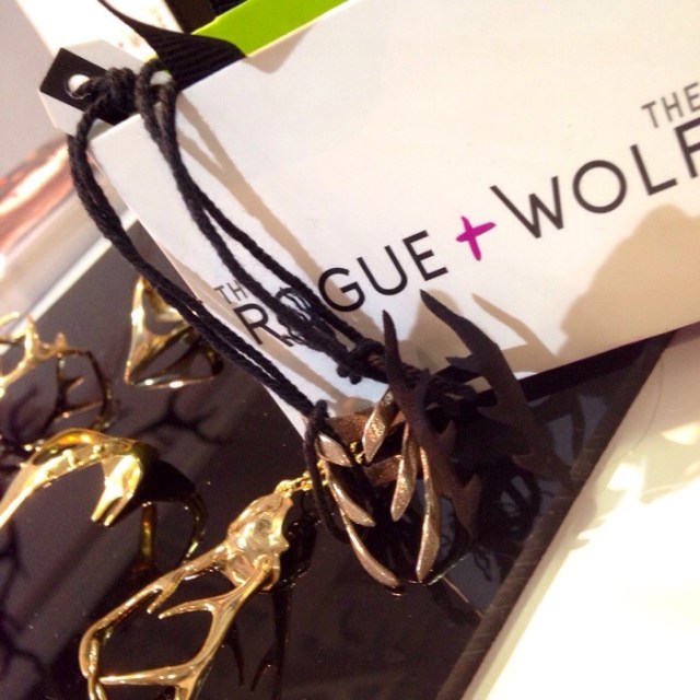 the rogue and the wolf - somanylovelythings