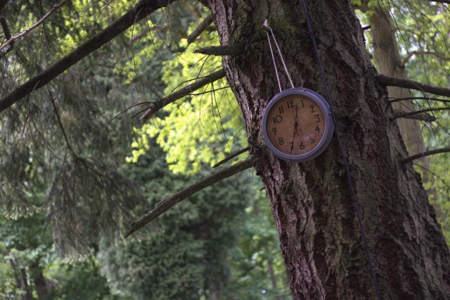 innocent unplugged festival