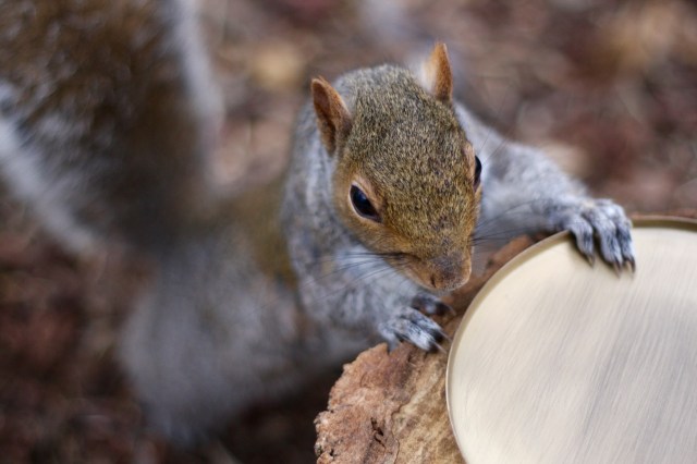 lancome-juicy-shaker-review - 1